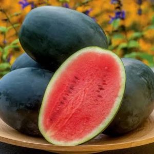 ১ প্যাকেট তরমুজের বীজ