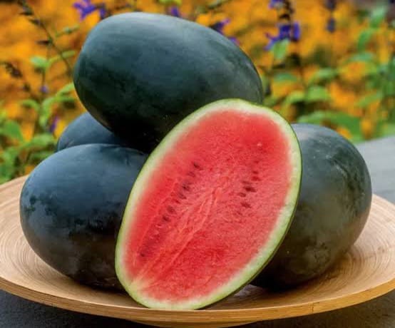 WhatsApp-Image-2024-05-15-at-14.13.36_5fa26e1a.jpg ১ প্যাকেট তরমুজের বীজ - Image 1