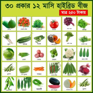 ৩০ প্রকার হাইব্রিড বীজ